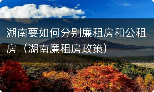 湖南要如何分别廉租房和公租房（湖南廉租房政策）