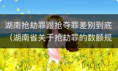 湖南抢劫罪跟抢夺罪差别到底（湖南省关于抢劫罪的数额规定）