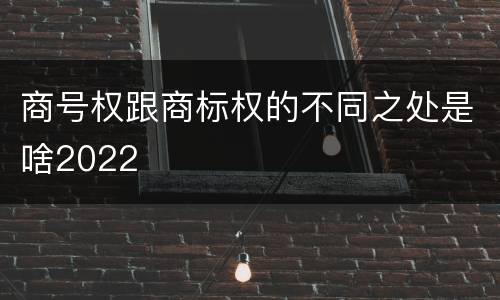 商号权跟商标权的不同之处是啥2022