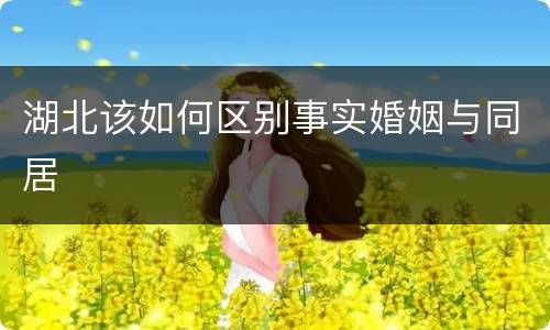 湖北该如何区别事实婚姻与同居