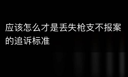 应该怎么才是丢失枪支不报案的追诉标准