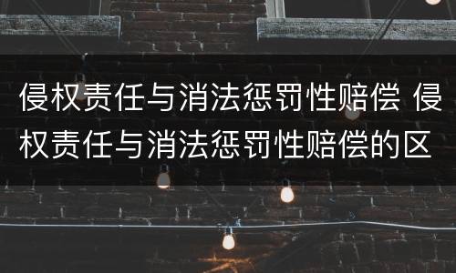 侵权责任与消法惩罚性赔偿 侵权责任与消法惩罚性赔偿的区别