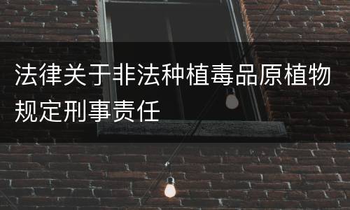 法律关于非法种植毒品原植物规定刑事责任