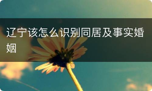 辽宁该怎么识别同居及事实婚姻