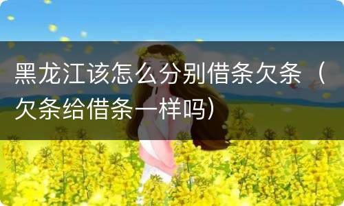 黑龙江该怎么分别借条欠条（欠条给借条一样吗）