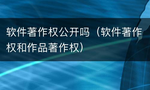软件著作权公开吗（软件著作权和作品著作权）
