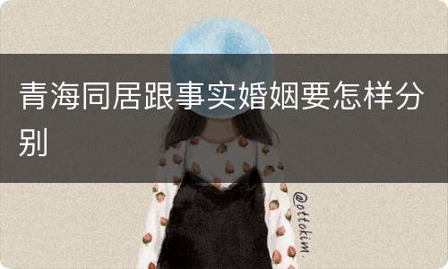 青海同居跟事实婚姻要怎样分别