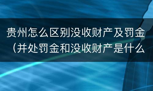 贵州怎么区别没收财产及罚金（并处罚金和没收财产是什么意思）