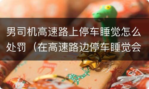 男司机高速路上停车睡觉怎么处罚（在高速路边停车睡觉会受到什么处罚）