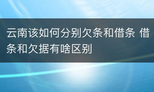云南该如何分别欠条和借条 借条和欠据有啥区别