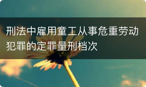 刑法中雇用童工从事危重劳动犯罪的定罪量刑档次