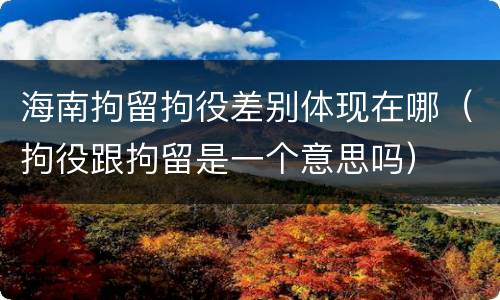 海南拘留拘役差别体现在哪（拘役跟拘留是一个意思吗）