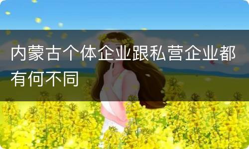 内蒙古个体企业跟私营企业都有何不同