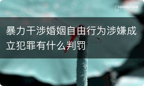 暴力干涉婚姻自由行为涉嫌成立犯罪有什么判罚