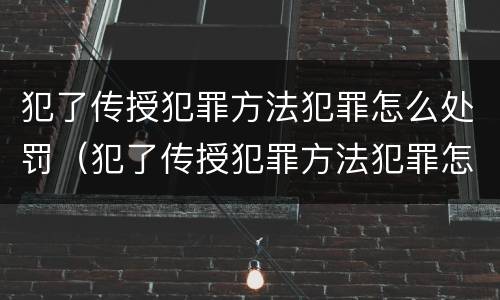 犯了传授犯罪方法犯罪怎么处罚（犯了传授犯罪方法犯罪怎么处罚）