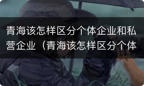 青海该怎样区分个体企业和私营企业（青海该怎样区分个体企业和私营企业的区别）