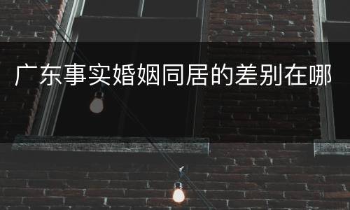 广东事实婚姻同居的差别在哪