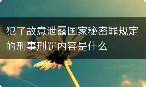 犯了故意泄露国家秘密罪规定的刑事刑罚内容是什么