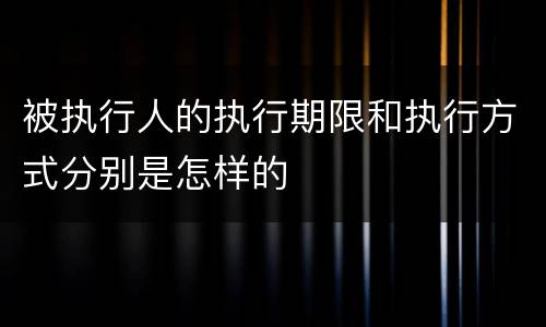 被执行人的执行期限和执行方式分别是怎样的