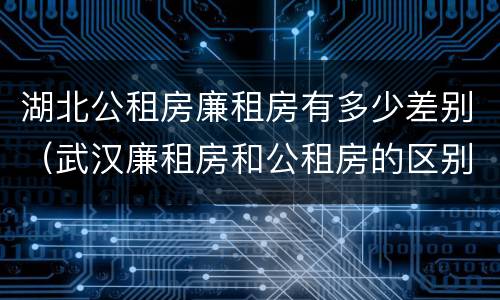 湖北公租房廉租房有多少差别（武汉廉租房和公租房的区别）