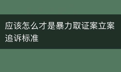应该怎么才是暴力取证案立案追诉标准