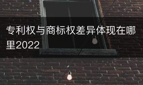 专利权与商标权差异体现在哪里2022