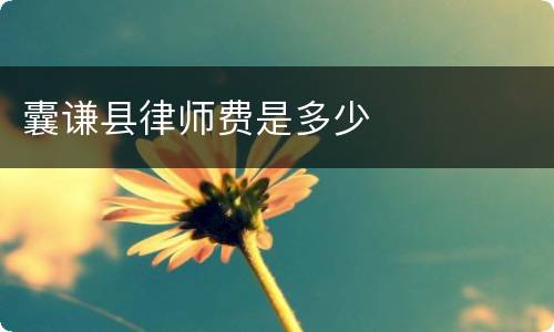 囊谦县律师费是多少