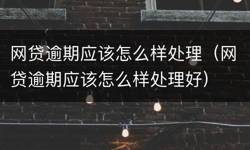 网贷逾期应该怎么样处理（网贷逾期应该怎么样处理好）