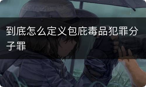 到底怎么定义包庇毒品犯罪分子罪