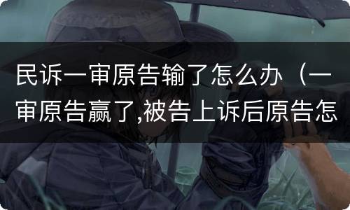 民诉一审原告输了怎么办（一审原告赢了,被告上诉后原告怎么办）