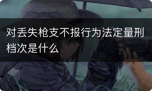 对丢失枪支不报行为法定量刑档次是什么