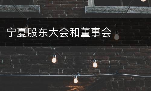 宁夏股东大会和董事会