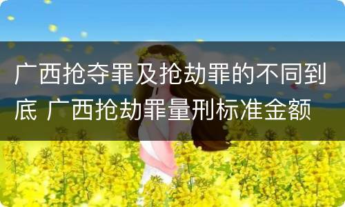 广西抢夺罪及抢劫罪的不同到底 广西抢劫罪量刑标准金额