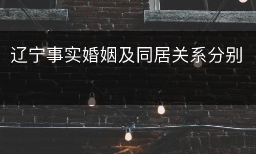 辽宁事实婚姻及同居关系分别