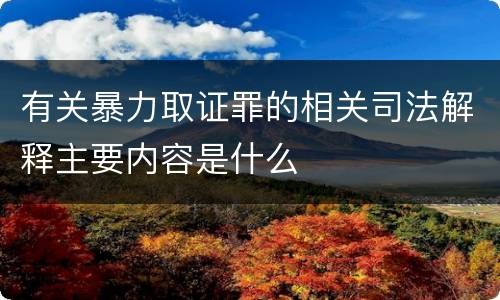 有关暴力取证罪的相关司法解释主要内容是什么
