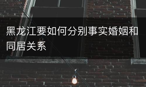 黑龙江要如何分别事实婚姻和同居关系