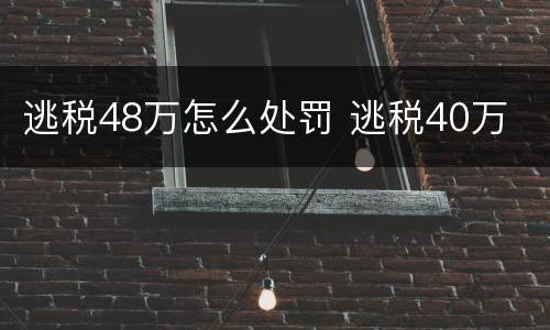 逃税48万怎么处罚 逃税40万