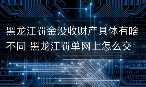 黑龙江罚金没收财产具体有啥不同 黑龙江罚单网上怎么交