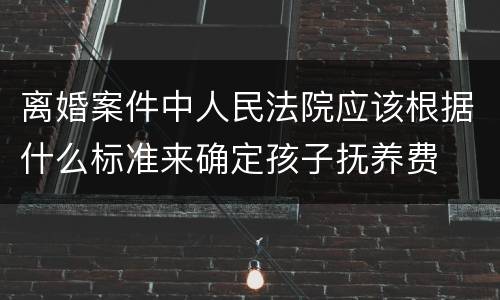 离婚案件中人民法院应该根据什么标准来确定孩子抚养费