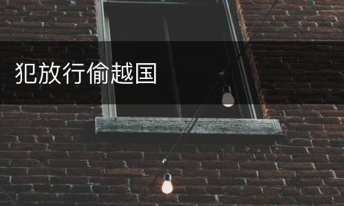 犯放行偷越国