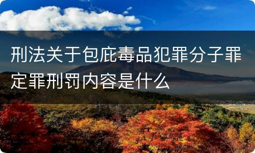 刑法关于包庇毒品犯罪分子罪定罪刑罚内容是什么