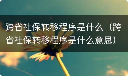 跨省社保转移程序是什么（跨省社保转移程序是什么意思）