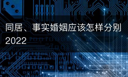 同居、事实婚姻应该怎样分别2022