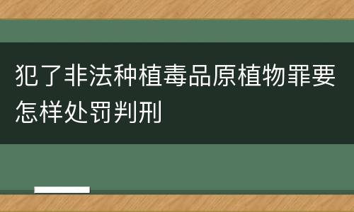 犯了非法种植毒品原植物罪要怎样处罚判刑