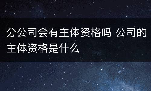 分公司会有主体资格吗 公司的主体资格是什么