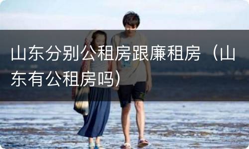 山东分别公租房跟廉租房（山东有公租房吗）