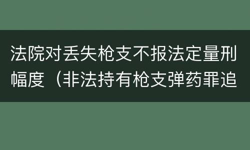 法院对丢失枪支不报法定量刑幅度（非法持有枪支弹药罪追诉标准）