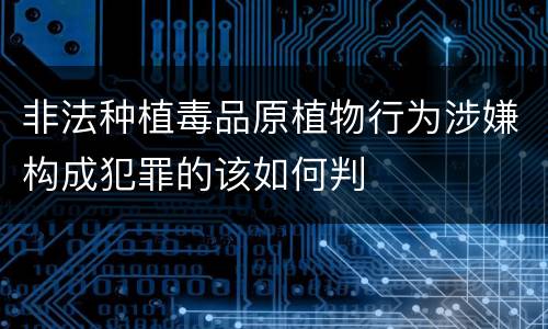 非法种植毒品原植物行为涉嫌构成犯罪的该如何判