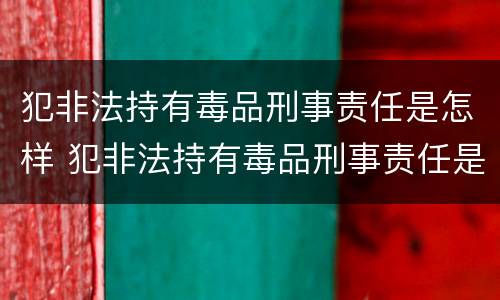犯非法持有毒品刑事责任是怎样 犯非法持有毒品刑事责任是怎样划分的