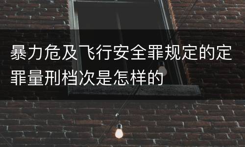 暴力危及飞行安全罪规定的定罪量刑档次是怎样的
